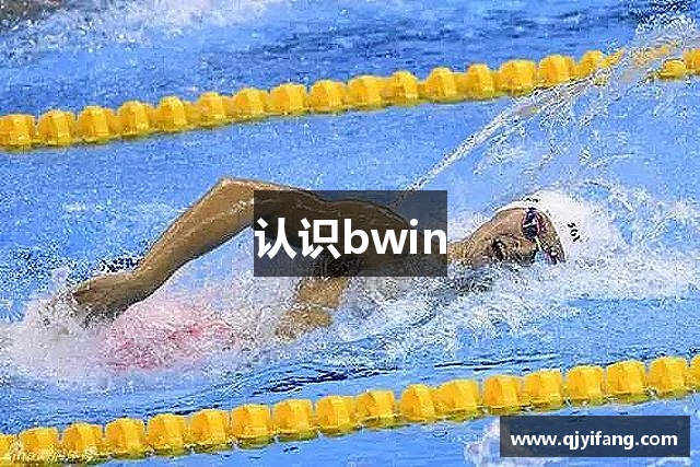 认识bwin